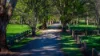 551 Maroondah Highway, Narbethong, Vic 3778-Image