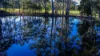 551 Maroondah Highway, Narbethong, Vic 3778-Image