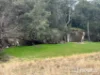 557 Pindari Dam Road, Inverell, NSW 2360-Image