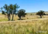 557 Pindari Dam Road, Inverell, NSW 2360-Image