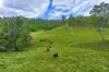 56 Baxter Road, Black Snake QLD 4600-Image