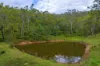 56 Baxter Road, Black Snake QLD 4600-Image