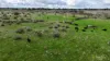 56 Duckholes Road, Dreeite, Vic 3249-Image