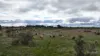 56 Duckholes Road, Dreeite, Vic 3249-Image