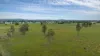 58 Boormans Lane, Grafton, NSW 2460-Image
