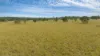 58 Boormans Lane, Grafton, NSW 2460-Image