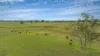 58 Boormans Lane, Grafton, NSW 2460-Image