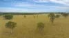 58 Boormans Lane, Grafton, NSW 2460-Image