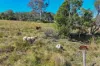 58 Laceys Lane, Gunalda, Qld 4570-Image
