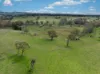 584 Huntley Road, Huntley, NSW 2530-Image