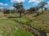584 Huntley Road, Huntley, NSW 2530-Image