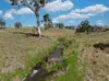 584 Huntley Road, Huntley, NSW 2530-Image