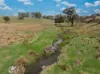 584 Huntley Road, Huntley, NSW 2530-Image