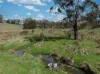 584 Huntley Road, Huntley, NSW 2530-Image