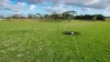 59 Gapes Road, Winslow, Vic 3281-Image