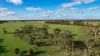 59 Gapes Road, Winslow, Vic 3281-Image