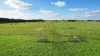59 Gapes Road, Winslow, Vic 3281-Image