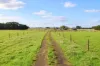 59 Gapes Road, Winslow, Vic 3281-Image