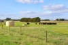 59 Gapes Road, Winslow, Vic 3281-Image