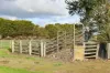 59 Gapes Road, Winslow, Vic 3281-Image