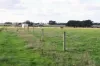 59 Gapes Road, Winslow, Vic 3281-Image