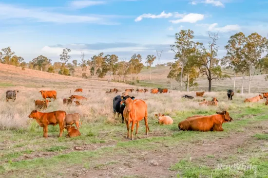 595 Walla Road, Morganville QLD 4671-Image