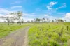 595 Walla Road, Morganville QLD 4671-Image