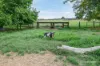 595 Walla Road, Morganville QLD 4671-Image