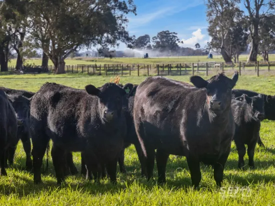 596 Settlement Road, Kilmany, Vic 3851