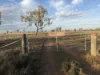 598 Surat Development Road, Surat, Qld 4417-Image