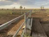 598 Surat Development Road, Surat, Qld 4417-Image
