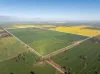606 Yuba Road, Savernake, NSW 2646