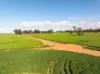 606 Yuba Road, Savernake, NSW 2646-Image