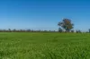 606 Yuba Road, Savernake, NSW 2646-Image