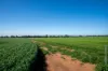 606 Yuba Road, Savernake, NSW 2646-Image