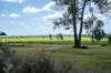 606 Yuba Road, Savernake, NSW 2646-Image