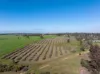 606 Yuba Road, Savernake, NSW 2646-Image