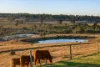61 Hansen Road, Milbong, Qld 4310-Image
