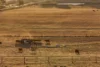 61 Hansen Road, Milbong, Qld 4310-Image