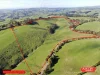 625 Boorool Road, Berrys Creek, Vic 3953
