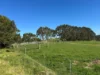 625 Boorool Road, Berrys Creek, Vic 3953-Image