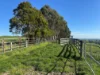 625 Boorool Road, Berrys Creek, Vic 3953-Image