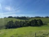 625 Boorool Road, Berrys Creek, Vic 3953-Image