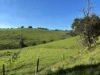625 Boorool Road, Berrys Creek, Vic 3953-Image
