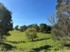 625 Boorool Road, Berrys Creek, Vic 3953-Image