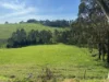 625 Boorool Road, Berrys Creek, Vic 3953-Image