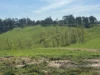 625 Boorool Road, Berrys Creek, Vic 3953-Image