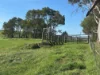 625 Boorool Road, Berrys Creek, Vic 3953-Image