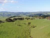 625 Boorool Road, Berrys Creek, Vic 3953-Image