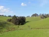 625 Boorool Road, Berrys Creek, Vic 3953-Image